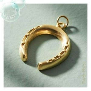 Anthropologie Lucky Horseshoe Charm